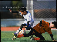 数据线条与赛场网格抽象图